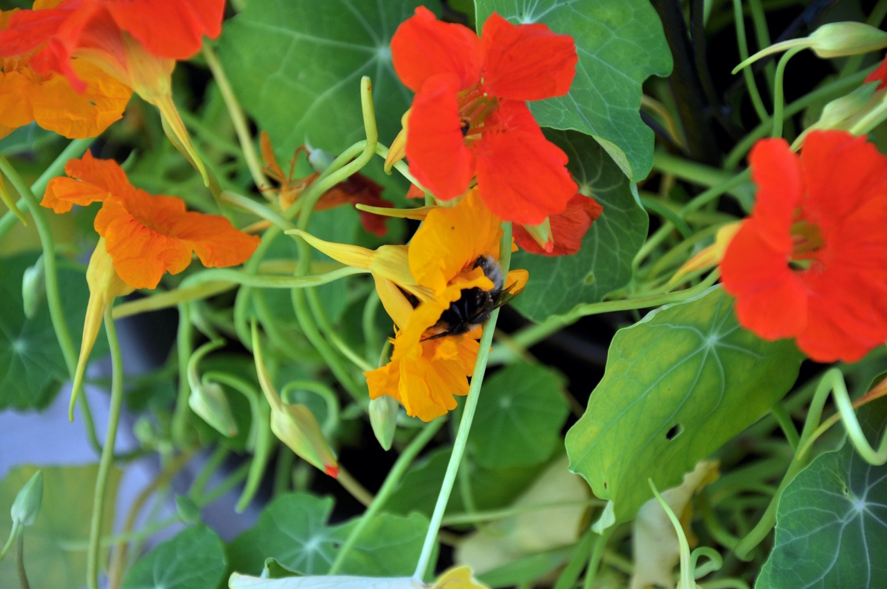 20100803-0084